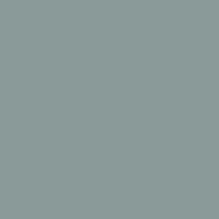 colorOption.translated.name