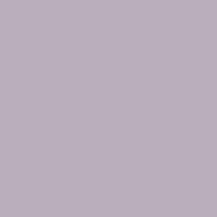 colorOption.translated.name